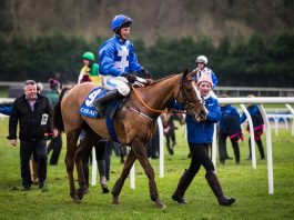 Raz De Maree 2017 winner