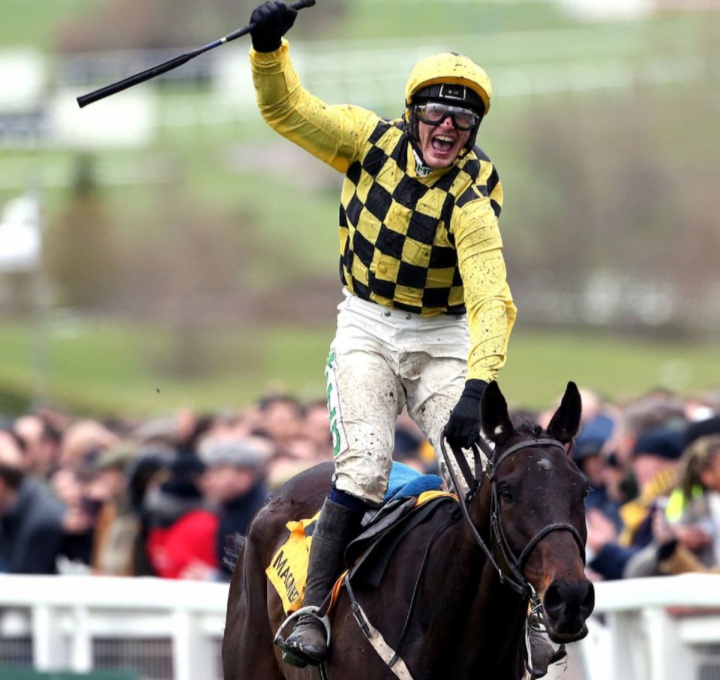 Al Boum Photo back-to-back Cheltenham Gold Cup wins in 2019 and 2020.