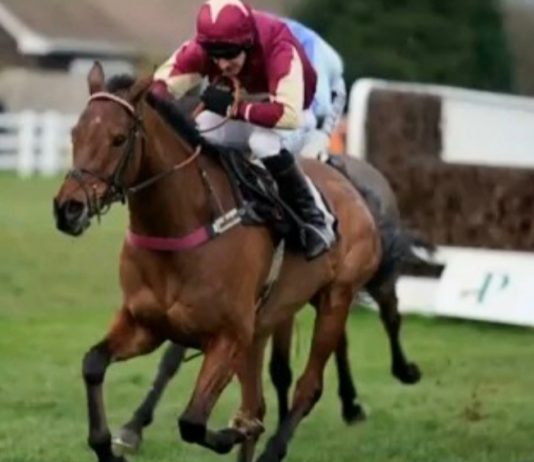 The Two Amigos thwarted by Secret Reprieve in Coral Welsh Grand National The Two Amigos: fromthehorsesmouth.info ew tip 2nd in Coral Welsh Grand National.