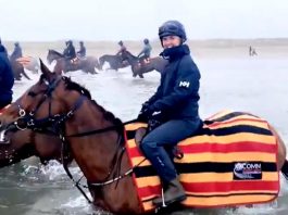 Aintree Grand National winner Tiger Roll enjoys day at the beach