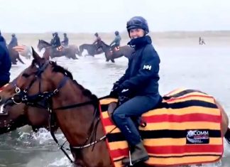 Aintree Grand National winner Tiger Roll enjoys day at the beach