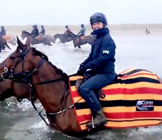 Aintree Grand National winner Tiger Roll enjoys day at the beach
