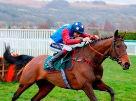 Paisley Park's final run ahead of Cheltenham Festival in March under threat.