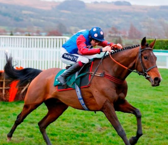 Paisley Park’s final run ahead of Cheltenham Festival in March under threat Paisley Park's final run ahead of Cheltenham Festival in March under threat.