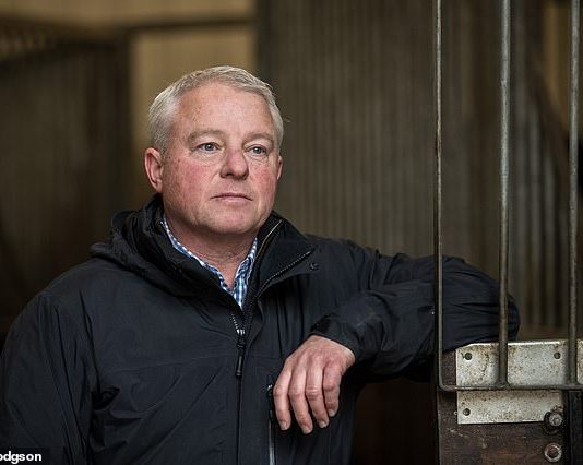 Jedd O'Keeffe saddled Miss Lamb fromthehorsesmouth.info ew tip at Market Rasen.