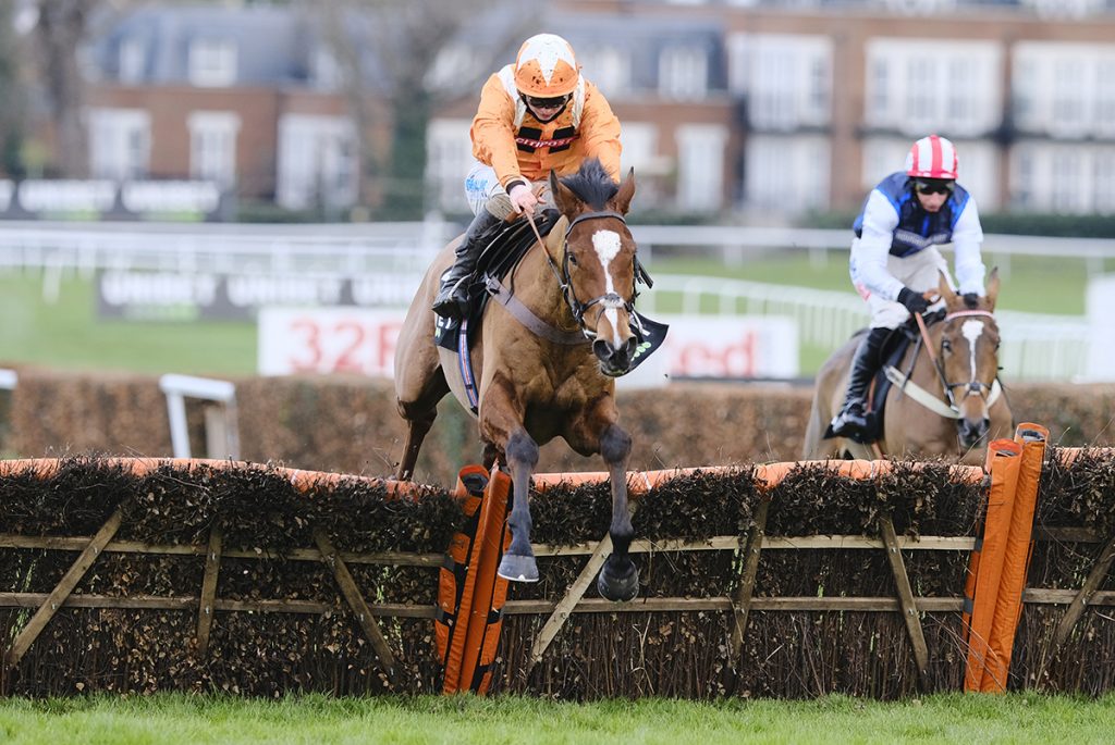 Metier wins the @UnibetRacing Tolworth Novices' Hurdle in style. Image courtest Sandown Racecourse