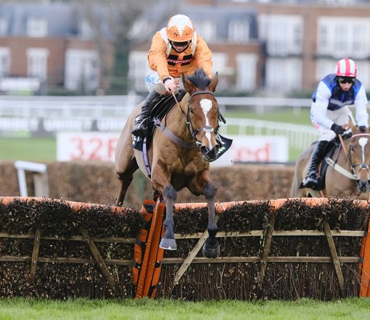 Metier wins the @UnibetRacing Tolworth Novices' Hurdle in style. Image courtest Sandown Racecourse