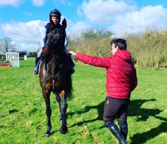 Nicky Henderson trained Shishkin