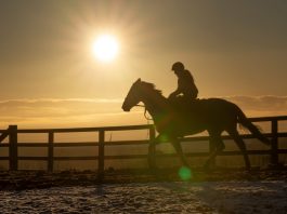 RACING UNDER THE 'COSH' OF CORONAVIRUS