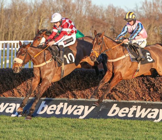 Trainer Nick over the moon with Eagle Ridge win