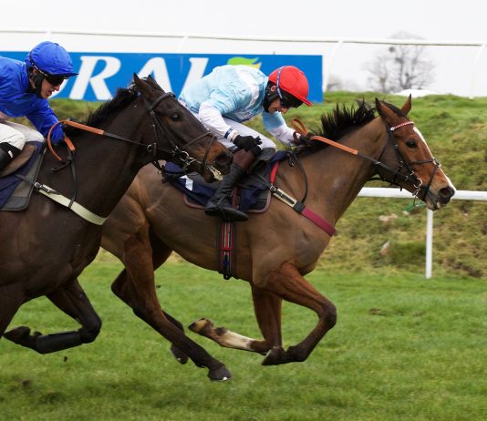 No protection for Bookies! Eight-year-old Witness Protection