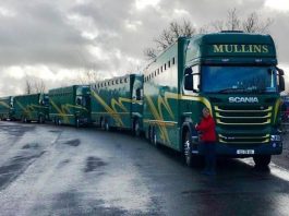 MULLINS ENTOURAGE ROLLS ON TO CHELTENHAM!