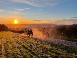Kerry Lee notches-up century of winners with Ballybegg at Wetherby Kerry Lee's gallops at Brand Hill, near Shobdon, Herefordshire. Photo: Kerry Lee.