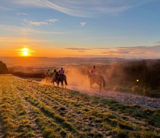 Kerry Lee notches-up century of winners with Ballybegg at Wetherby Kerry Lee's gallops at Brand Hill, near Shobdon, Herefordshire. Photo: Kerry Lee.