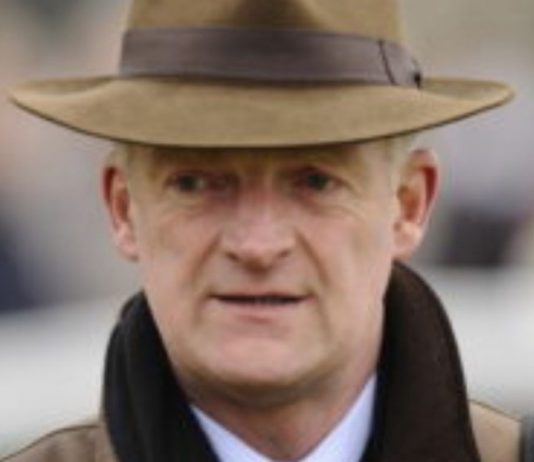 Willie Mullins trained Gaillard Du Mesnil fromthehorsesmouth.info tip.