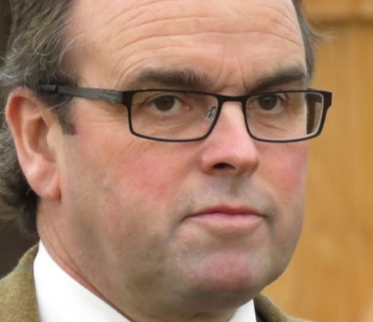 Trueshan trainer Alan King