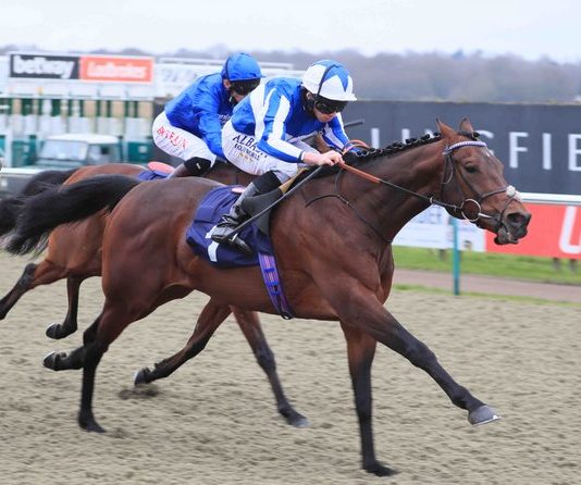An action shot of Bangkok and Ryan Moore during their winning run in the @Betway Winter Derby Trial Stakes