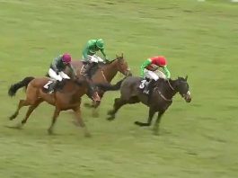 Nicholls trained Enrilo tipped by fromthehorsesmouth.info lands Betfair Novices Handicap Chase Nicholls trained Enrilo tipped by fromthehorsesmouth.info lands Betfair Novices Handicap Chase