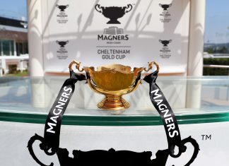 Magners pull plug on sponsoring Cheltenham Gold Cup