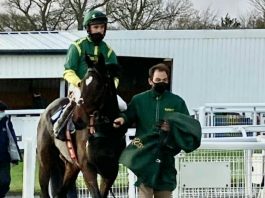 Legend the ‘Bush Monster’ eyes sixth season win at Newcastle Bushypark Phil Kirby owner-trained tipped by fromthehorsesmouth.info Newcastle (3.10). Photo: Twitter.