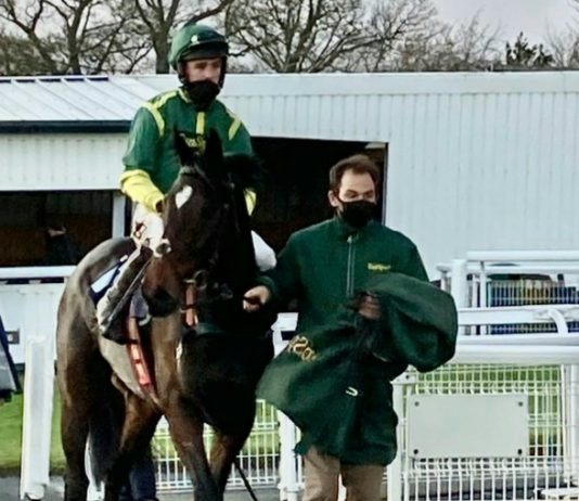 Bushypark Phil Kirby owner-trained tipped by fromthehorsesmouth.info Newcastle (3.10). Photo: Twitter.