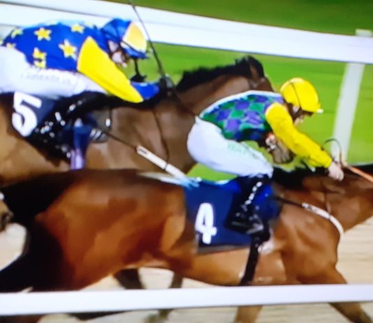 Eric saddles Harry’s Ridge Betway Handicap Newcastle win giving jockey Jason Hart 500th UK career win Harry's Ridge (4) gets up to beat Sambucca Spirit a neck in Betway Handicap at Newcastle.