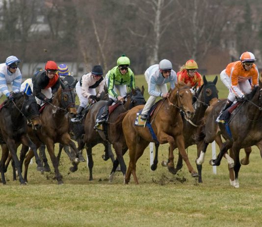 £3.124m fromthehorsesmouth.info 12-horse accumulator!