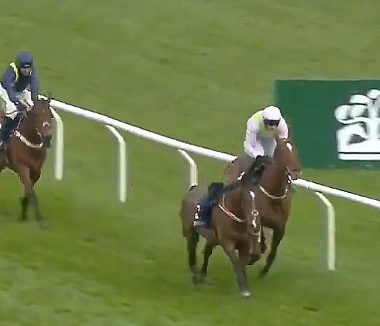 MONKFISH LANDS MULLINS 74TH CHELTENHAM WIN