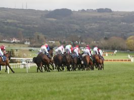Mount Ida last to first in Challenge Cup Chase Festival win