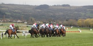 Mount Ida last to first in Challenge Cup Chase Festival win