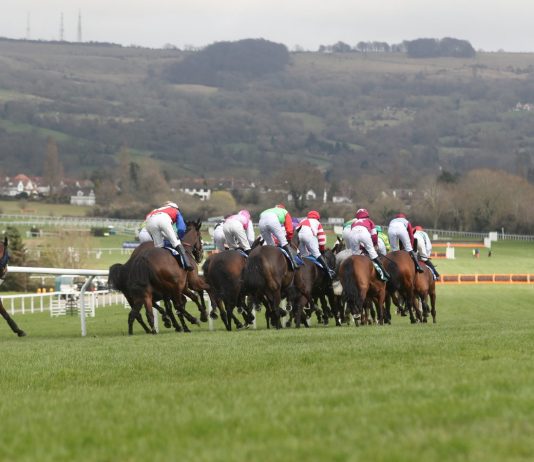Mount Ida last to first in Challenge Cup Chase Festival win Mount Ida last to first in Challenge Cup Chase Festival win