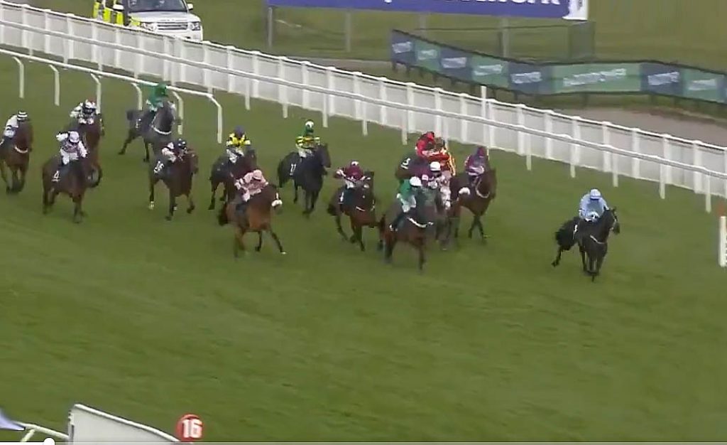 The Shunter lands huge gamble in Paddy Power Plate at Cheltenham Festival