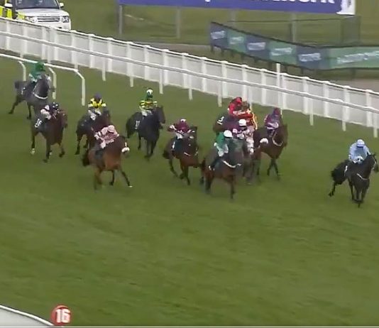 The Shunter lands huge gamble in Paddy Power Plate at Cheltenham Festival The Shunter lands huge gamble in Paddy Power Plate at Cheltenham Festival