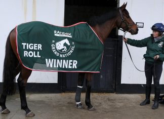 Tiger Roll withdrawn from Aintree Grand National