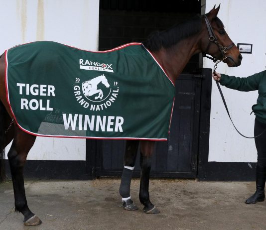 Tiger Roll withdrawn from Aintree Grand National Tiger Roll withdrawn from Aintree Grand National