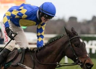 Danny Mullins rode Stormy Judge (8-1) tipped by fromthehorsesmouth.info Navan win. Photo: Twitter