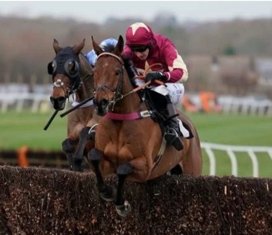 The Two Amigos: Quite a character says trainer Nicky Martin.