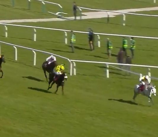 Trevor Hemmings owned Vintage Clouds Cheltenham Festival success.