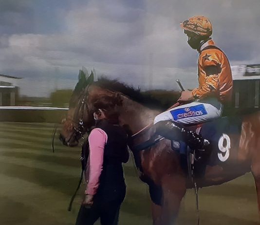 Tom continues fine form at Huntington on Rukwa despite losing iron! Tom Midgley and Rukwa lead into winner's enclosure.