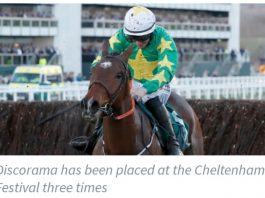 Paul Nolan trained Discorama 14-1.