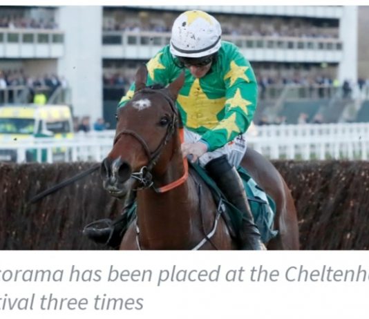 Paul Nolan trained Discorama 14-1.