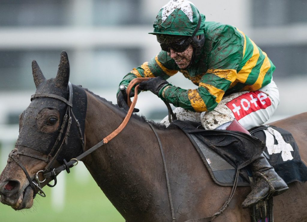 Johnson winning on Dostal Phil at Newbury