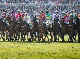 Lining up at the start of the Grand National