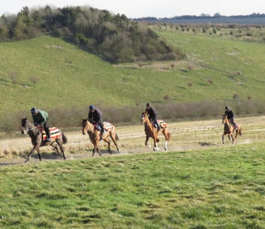 Spice of Ginger for King at Haydock Horses from Alan King's Barbury Castle Yard
