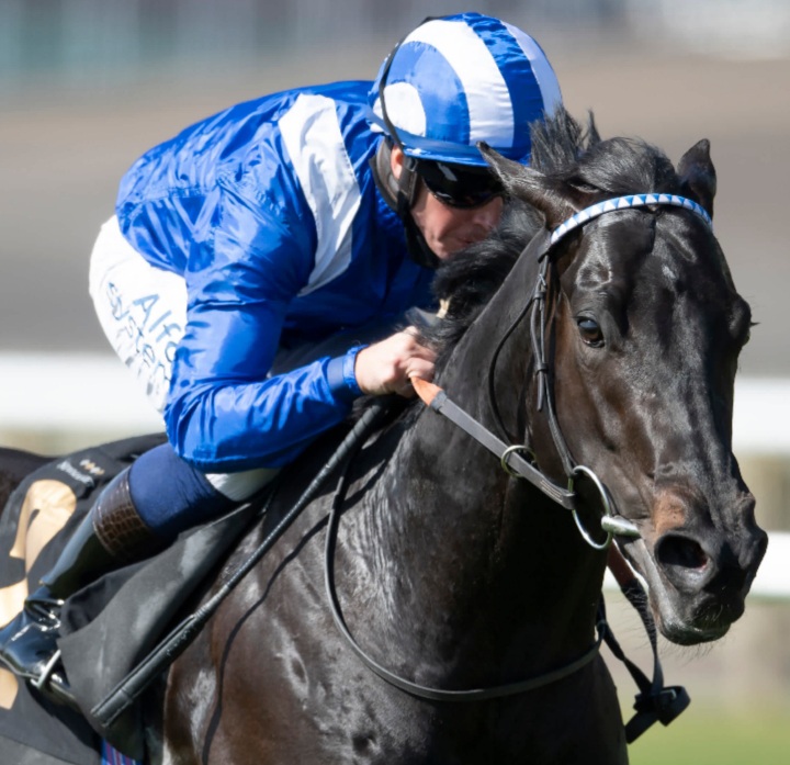 Mostahdaf entered in St James's Palace Stakes at Royal Ascot.