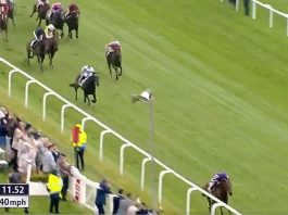 'I was like a hot knife through butter - I had everything completely beaten coming around Tattenham Corner' - Frankie Dettori