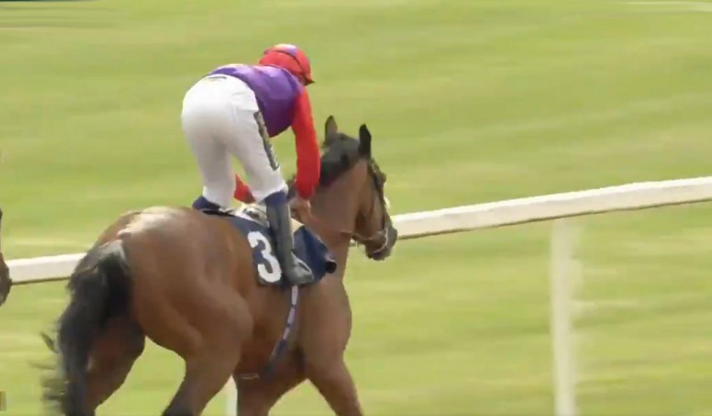 Sir Michael Stoute saddled fromthehorsesmouth.info tip Hasty Sailor (9-2) to win the Class 3 Collingwood Handicap over 1m 4f at Newcastle