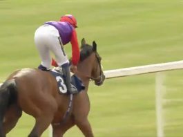 Sir Michael Stoute saddled fromthehorsesmouth.info tip Hasty Sailor (9-2) to win the Class 3 Collingwood Handicap over 1m 4f at Newcastle