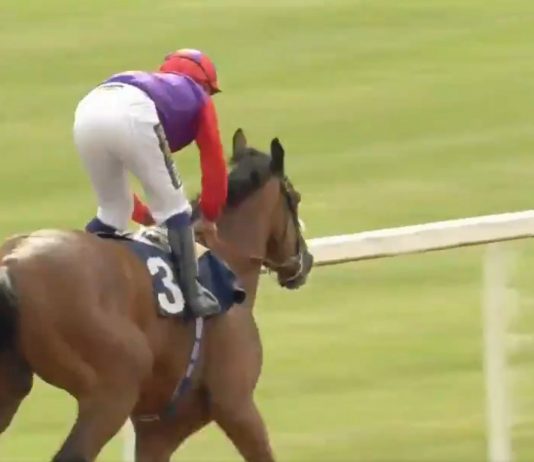 SATURDAY SUPER SIX fromthehorsesmouth.info 1,576 accumulator Sir Michael Stoute saddled fromthehorsesmouth.info tip Hasty Sailor (9-2) to win the Class 3 Collingwood Handicap over 1m 4f at Newcastle