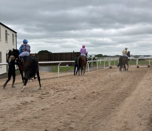 Alston and Prescott eye success at Carlisle Alston and Prescott eye success at Carlisle